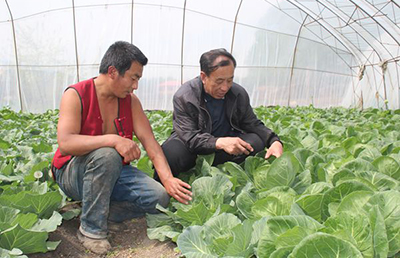 成功案例